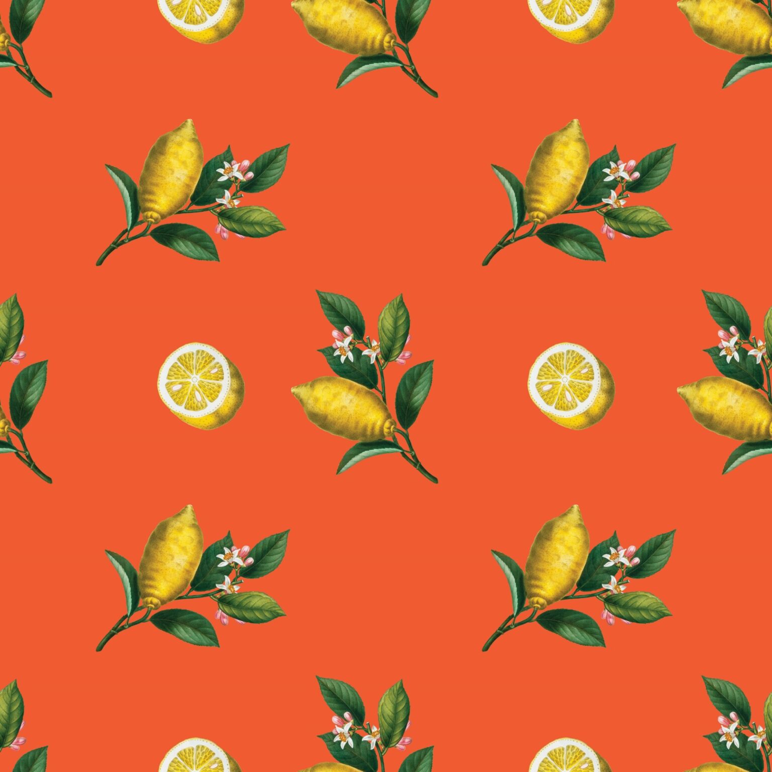 Lemons Wallpaper KIKASWORKSHOP By Erika C Brothers lemons-wallpaper-kikasworkshop-by-erika-c-brothers