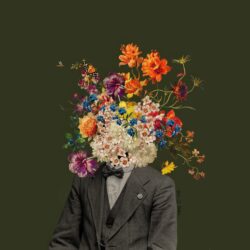 Flower Head 1