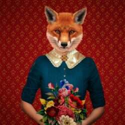 Miss Fox 1