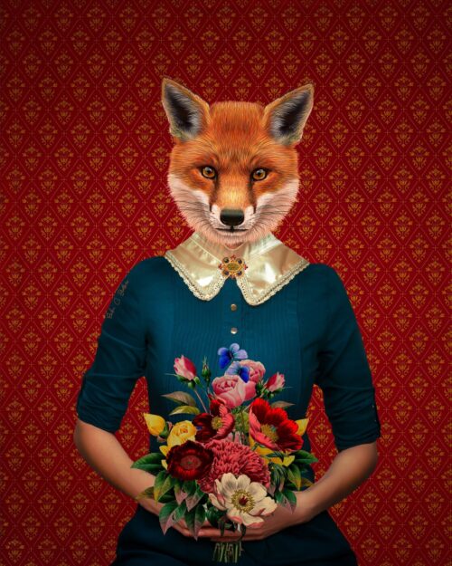 Miss Fox 1